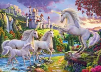 Puzzle Unicorns