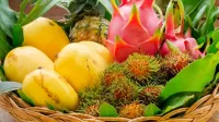 Rätsel Exotic fruits