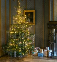 Jigsaw Puzzle Spruce at the portrait