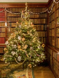 Jigsaw Puzzle Spruce in the library