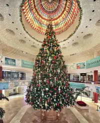 Jigsaw Puzzle Spruce in the Mall