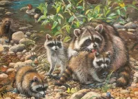 Puzzle Raccoon is a gang
