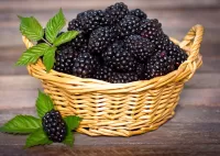 Jigsaw Puzzle Blackberries in a basket