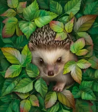 Слагалица Hedgehog
