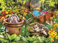 Jigsaw Puzzle Hedgehogs in the garden