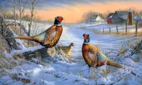 Rätsel Pheasants