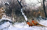 Jigsaw Puzzle Pheasants in winter