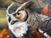 Zagadka Owl