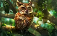 Bulmaca Owl on a branch