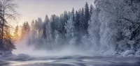 Rompecabezas Finnish winter