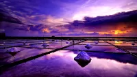 Rompecabezas purple sunset