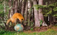 Quebra-cabeça Firefox