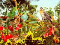 Jigsaw Puzzle Flora and fauna