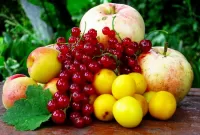 Rompecabezas Fruits and currants