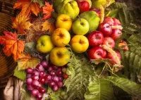 Jigsaw Puzzle fruits on leaves
