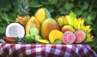 Jigsaw Puzzle fruits of the tropics