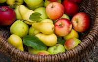 Bulmaca Fruit in basket