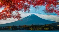 Quebra-cabeça Fuji