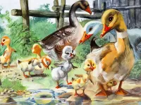Jigsaw Puzzle Ugly duck