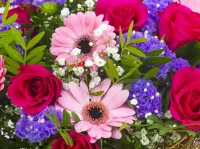 Puzzle Gerberas and roses