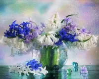 Zagadka Hyacinths