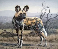 Jigsaw Puzzle The African wild dog