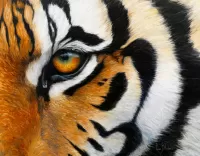Jigsaw Puzzle Tiger's Eye