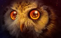 Puzzle Owl eyes