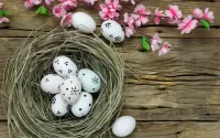 Пазл Гнездо и яйца