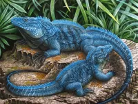 パズル Blue iguana