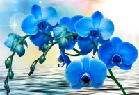 Jigsaw Puzzle Blue Orchid