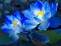 Jigsaw Puzzle Blue lotuses