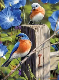Пазл Голубые птицы