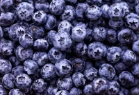 Puzzle Blueberries