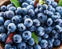 Rätsel Blueberry