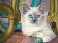 Jigsaw Puzzle Blue eyed cat