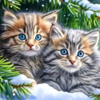 Rompecabezas Blue eyed kittens