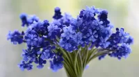 Rompecabezas Blue bouquet