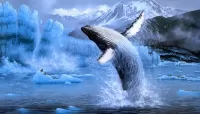Пазл Горбатый кит