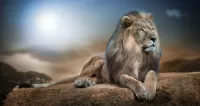 Quebra-cabeça Proud lion