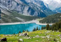 Jigsaw Puzzle Mountains and forest