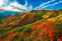 Jigsaw Puzzle Mountains in flowers
