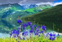 Jigsaw Puzzle mountain flowers