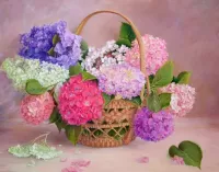 Rompicapo Hydrangeas in a basket