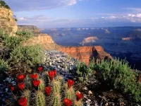 Puzzle grand_canyon