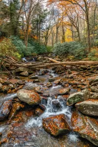 Слагалица Great Smoky Mountains National Park