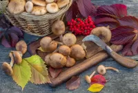 Rompecabezas Mushrooms and leaves