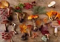 Слагалица mushrooms and leaves