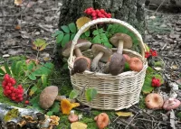 Jigsaw Puzzle Mushrooms and rowan
