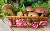 Puzzle Mushrooms in the basket